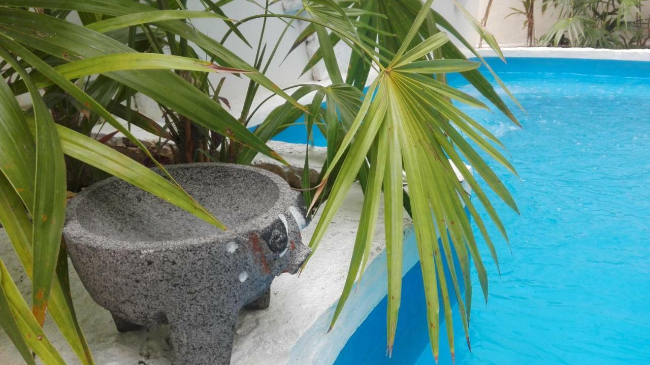 Kika Studios بلايا ديل كارمن المظهر الخارجي الصورة